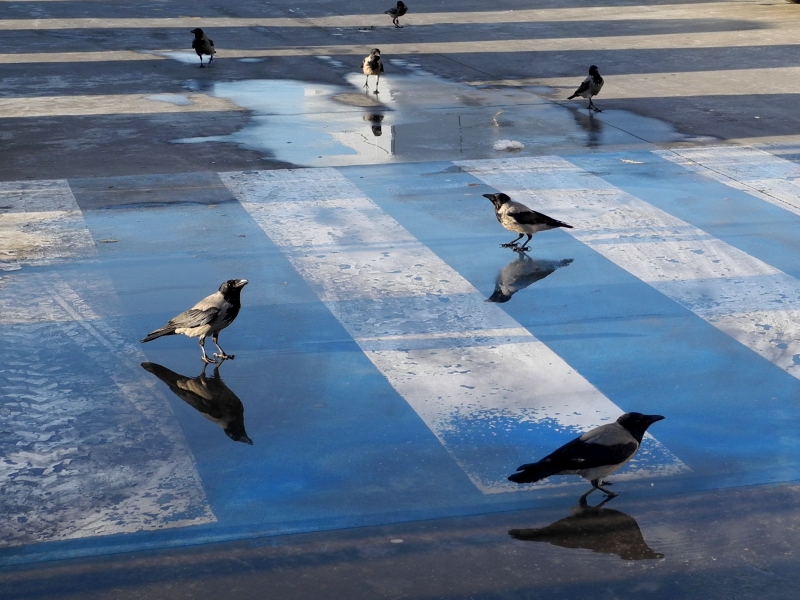 השתקפות | כל הזכויות שמורות