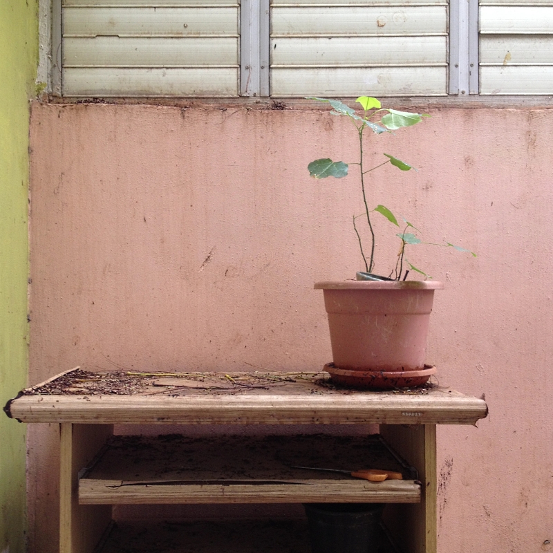 מרפסת וחצר אחורית | כל הזכויות שמורות