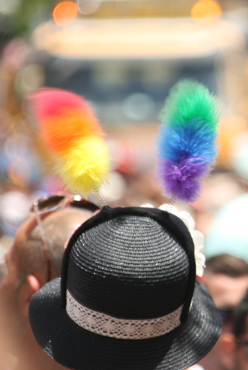 מצעד הגאווה 2013 | כל הזכויות שמורות