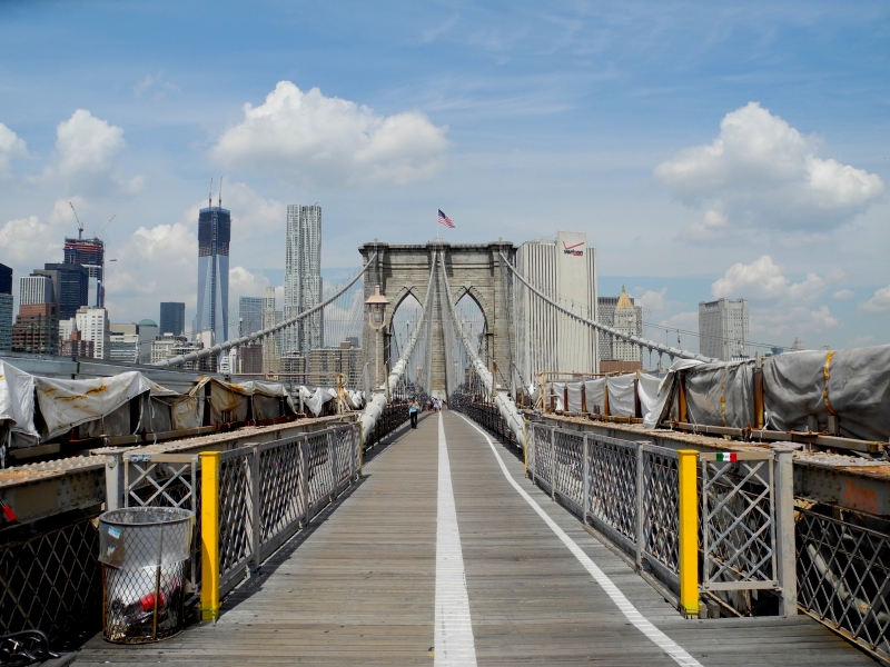 ניו יורק | כל הזכויות שמורות