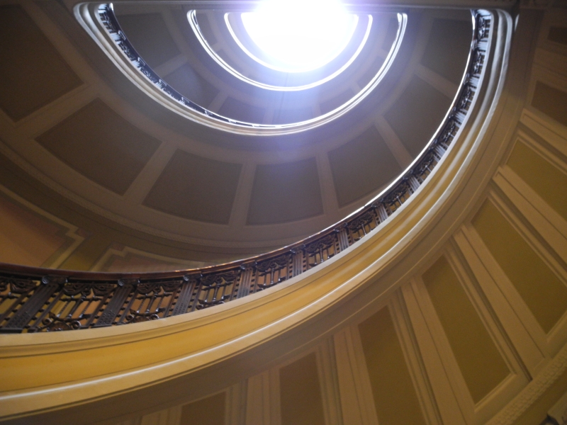 ניו יורק | כל הזכויות שמורות