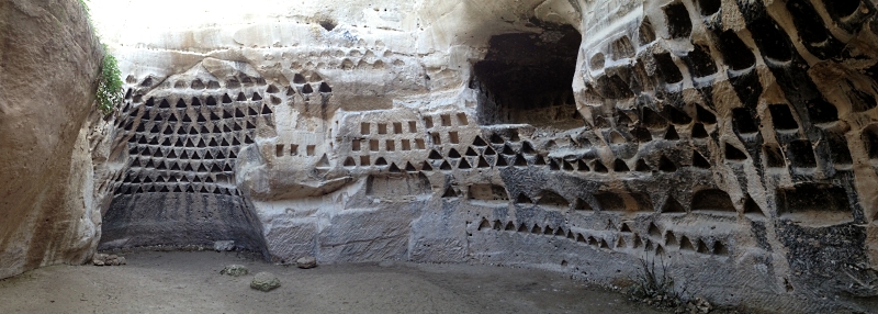 הקלמבריום | כל הזכויות שמורות