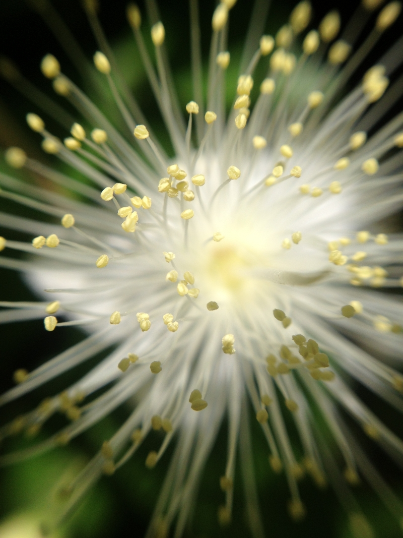 זרועות | כל הזכויות שמורות