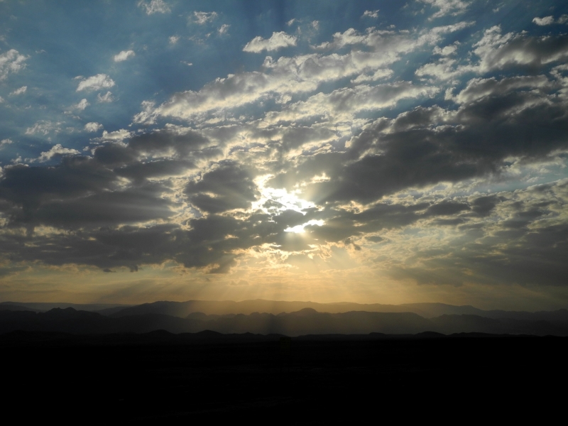 נסיעה בערבה | כל הזכויות שמורות