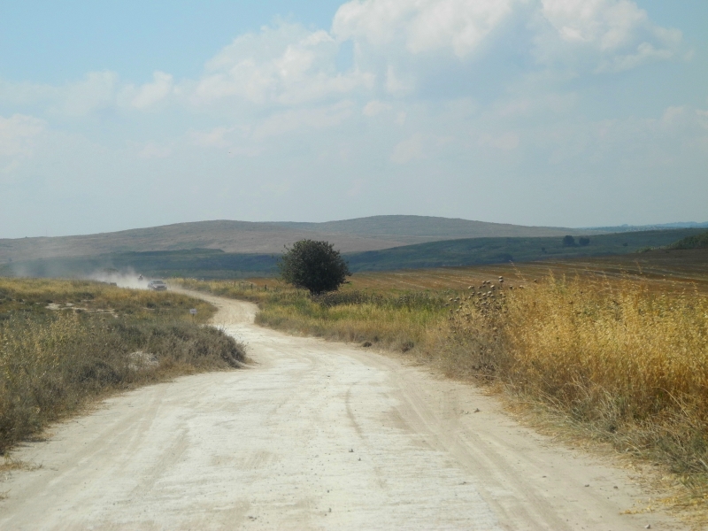 בדרך ליערות מנשה | כל הזכויות שמורות