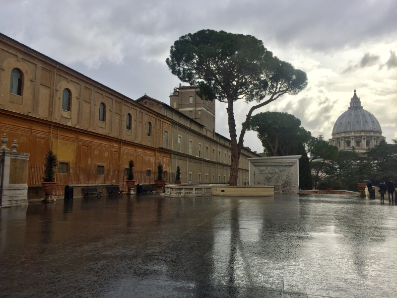 נגד הגשם | כל הזכויות שמורות