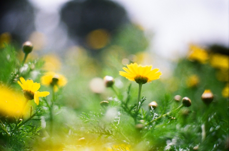 מספיק אהבות | כל הזכויות שמורות