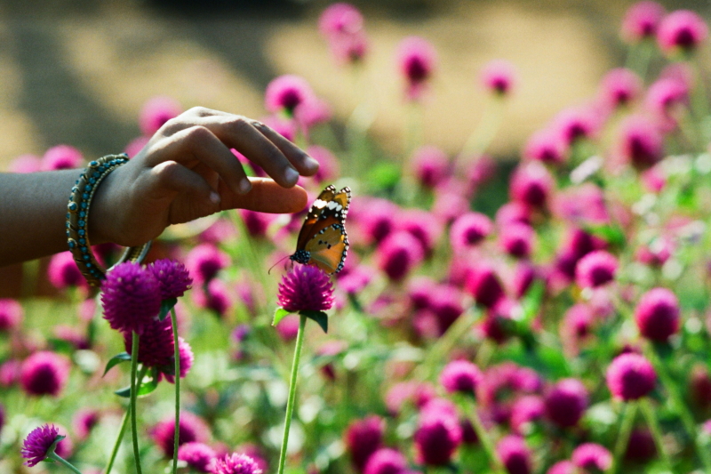 הודו | כל הזכויות שמורות