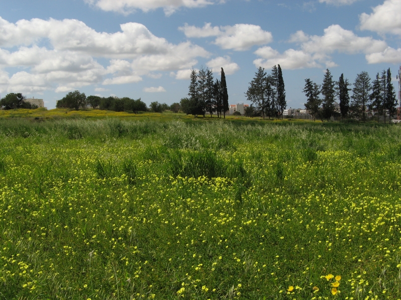 מרחבי רחובות | כל הזכויות שמורות