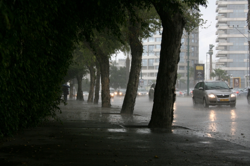 גשם סערה | כל הזכויות שמורות