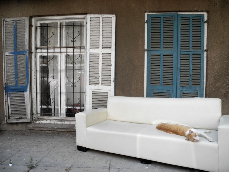 סימטאות שקטות | כל הזכויות שמורות