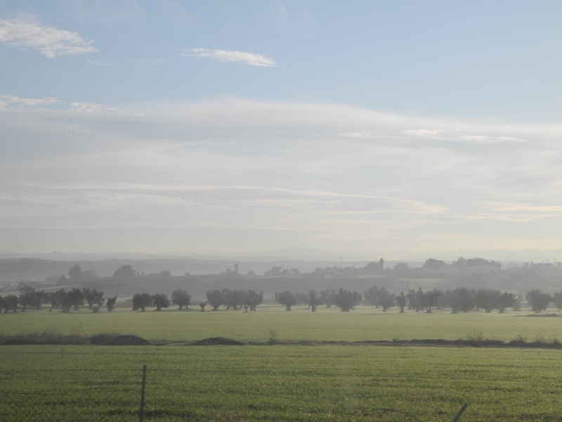 בבוקר | כל הזכויות שמורות