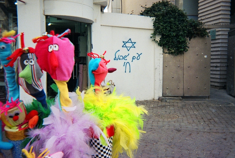 פורים | כל הזכויות שמורות