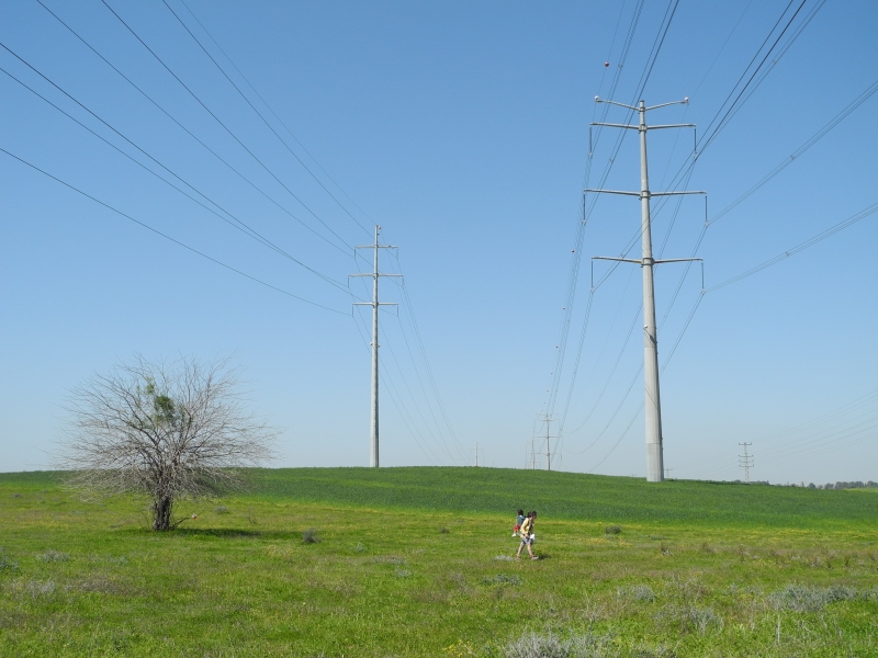 מרחבי רחובות | כל הזכויות שמורות